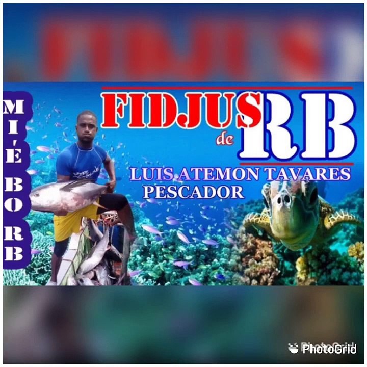 FIDJUS DE RB 1.0