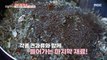 [TASTY] The whole sesame seeds that go into anchovy seed kimbap!, 생방송 오늘 저녁 231228