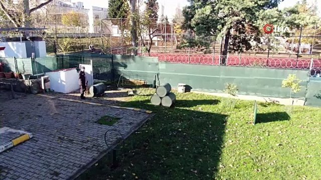 Duman ile Limon uyuşturucu tacirlerinin korkulu rüyası oldu