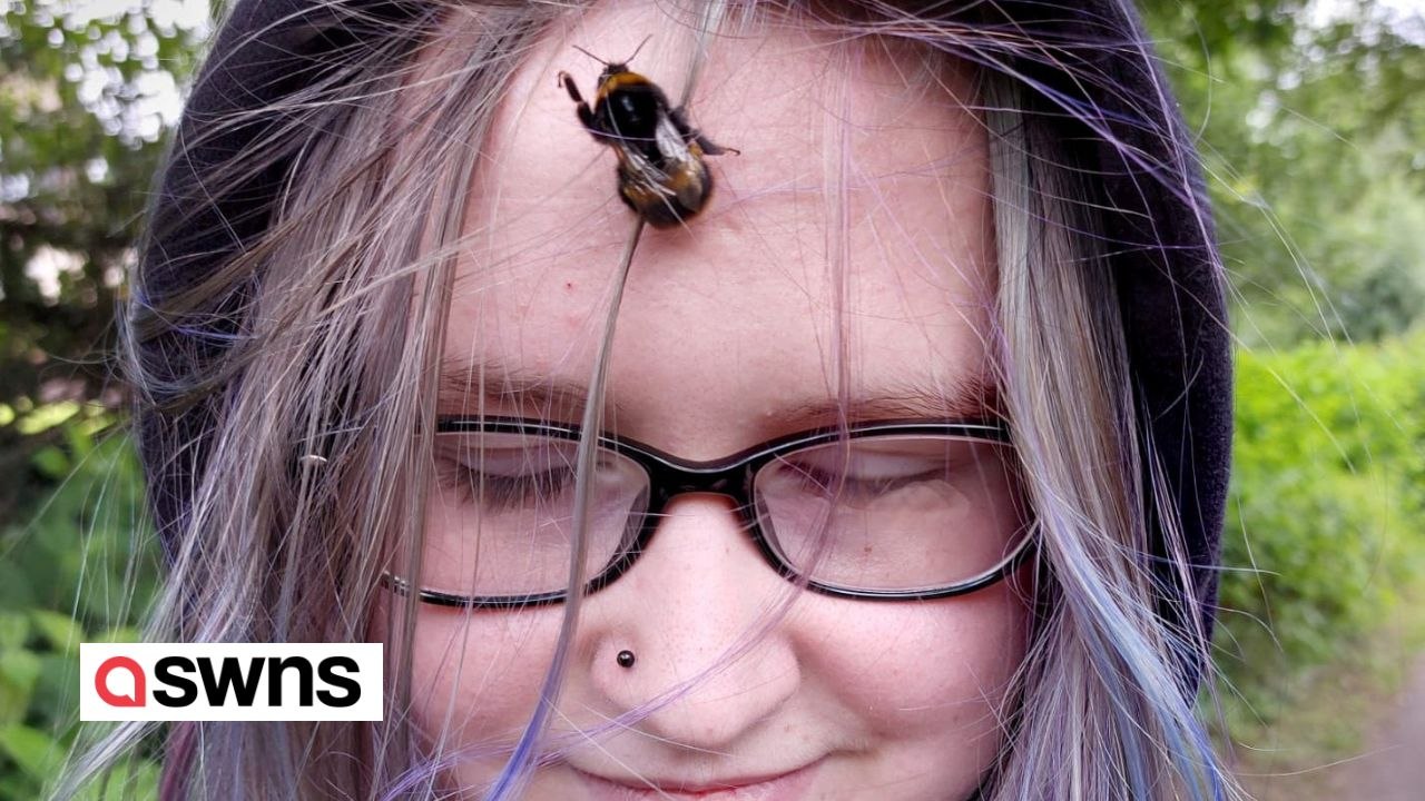 Teenager freundet sich mit einer hummel an