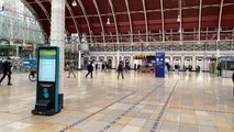 Paddington rail services suspended after person hit by train causing GWR and Elizabeth line issuesin Causing Gwr And Elizabeth Line Issues
