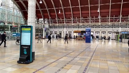 Paddington rail services suspended after person hit by train causing GWR and Elizabeth line issuesin Causing Gwr And Elizabeth Line Issues