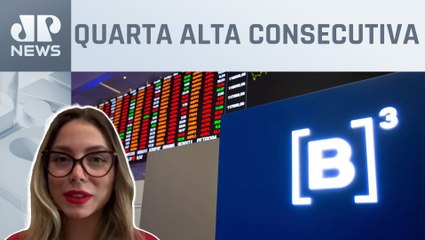 Ibovespa fecha em 134 mil pontos, batendo novo recorde; economista analisa