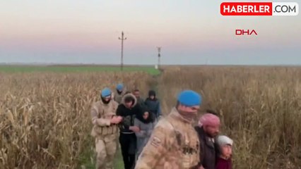 Ceylanpınar'da göçmen kaçakçılığı operasyonu: 15 şüpheli tutuklandı