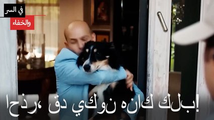 احذر، قد يكون هناك كلب!