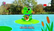The Singing Frog    Pinkfongs Farm Animals   Nursery Rhymes   Pinkfong Songs for Children
