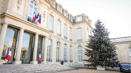 VOICI - Noël à l’Élysée : les dimensions folles du sapin installé dans la cour d’honneur