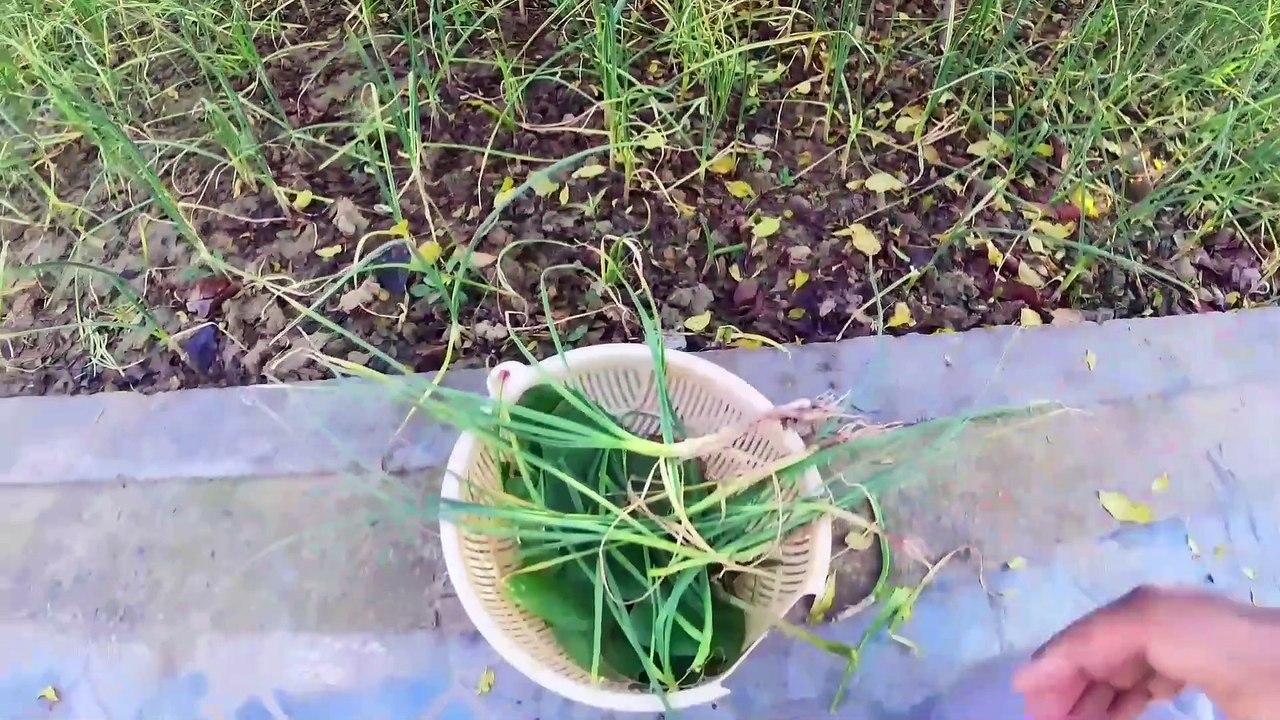 My First Vlog On Daily Motion | VLOG 1  #food #village #foodie #pakistan #pakistanifood