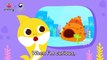 You May Be Far But Still Our Hearts Are Close   Healthy Habits   Pinkfong Songs for Children
