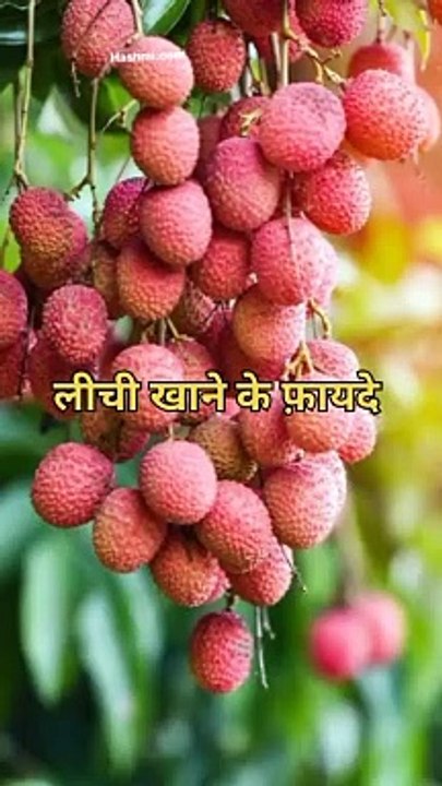 लीची खाने के फ़ायदे #health