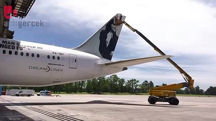 Gazze'ye yardım uçağının Mısır'a inişine izin verilmedi: Jina Mahsa Amini'nin resmi gerekçe gösterildi