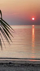 Grey Pink Nature Minimalist Positive Vibes Only Quote