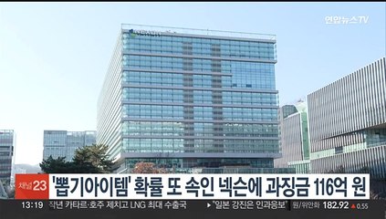 '뽑기아이템' 확률 또 속인 넥슨에 과징금 116억원