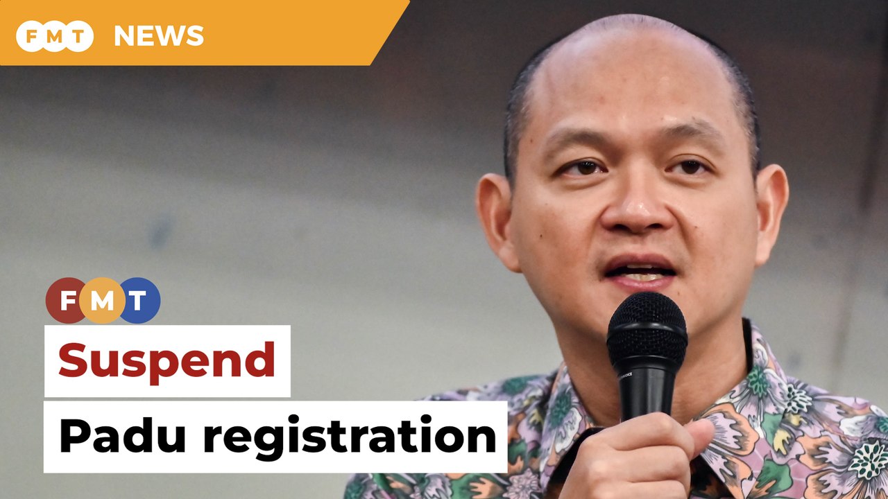 Suspend Padu registration until security concerns addressed, Ong tells govt