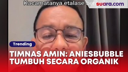 Heboh Fans K-Pop Dukung Anies di TikTok, Ini Penjelasan Timnas AMIN