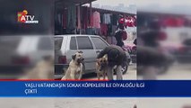 Yaşlı vatandaşın sokak köpekleri ile diyaloğu ilgi çekti
