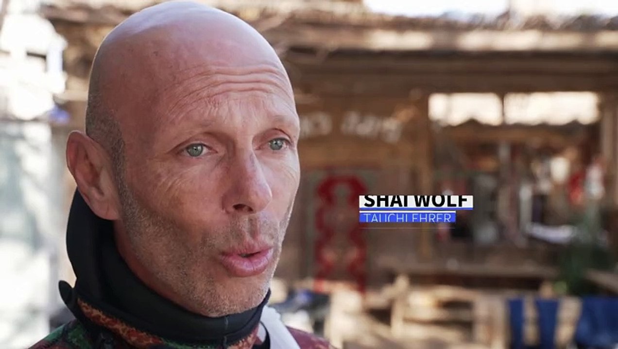 Tauchen gegen das Hamas-Trauma