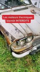 Les voitures seront interdites !