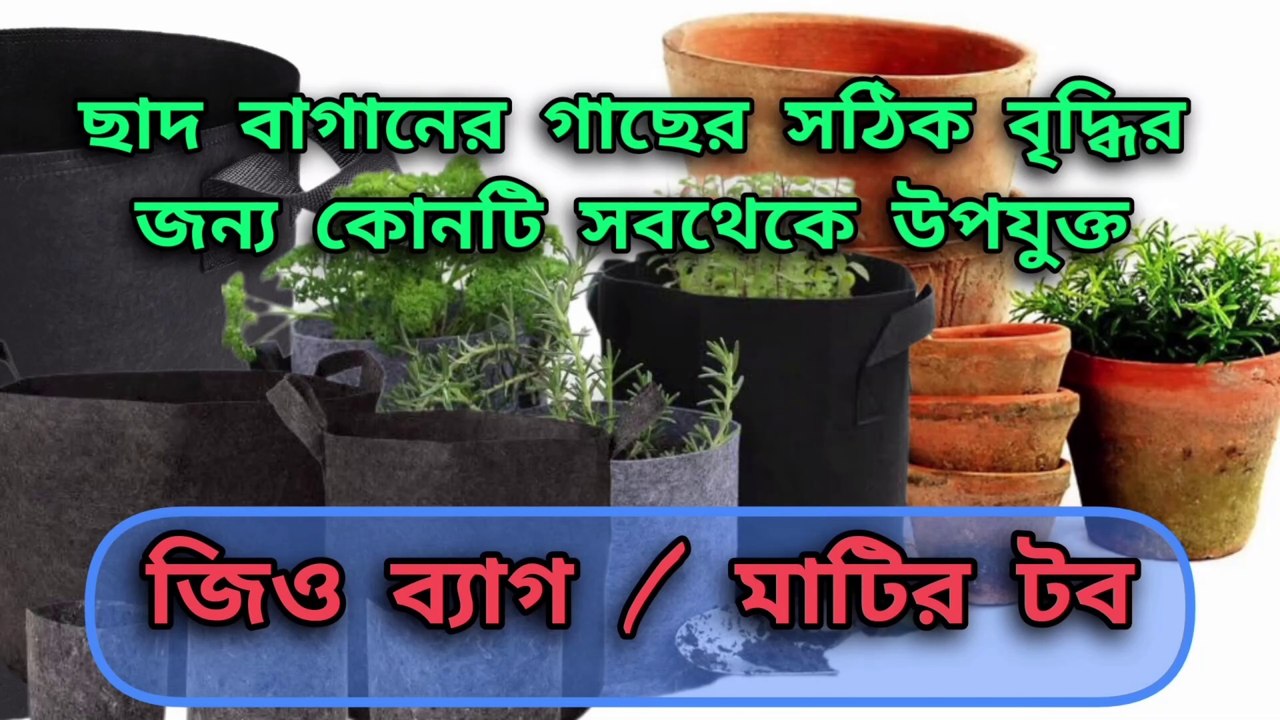 জিও ব্যাগ vs মাটির টব কোনটি ছাদবাগানের জন্য আদৰ্শ ।। Geo bag for gardening
