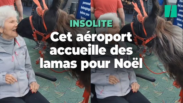 Cet aéroport américain avait tout prévu pour détendre les passagers stressés à Noël