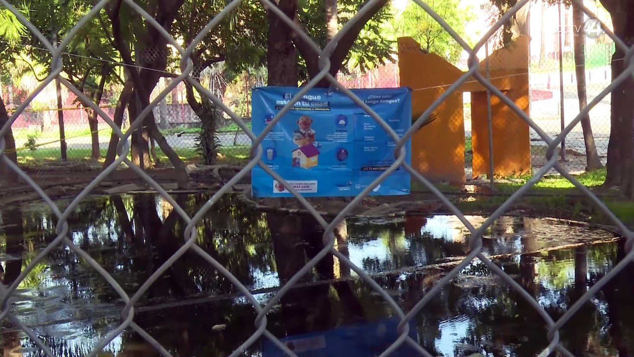 ¡Al fin atraparon al principal sospechoso en el alarmante incremento en casos de dengue!