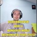 Dejan Nikolovski - What wonderful world Instrumental Cover (2023) #whatawonderfulworld #instrumentalcover #dejannikolovski6 #fyp #viralsDejan Nikolovski - What wonderful world Instrumental Cover (2023)