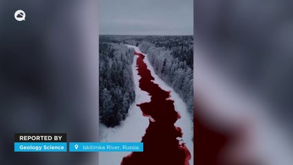 Top 10 Los 10 Videos Más Impactantes de 2023 en Meteored 🌪️