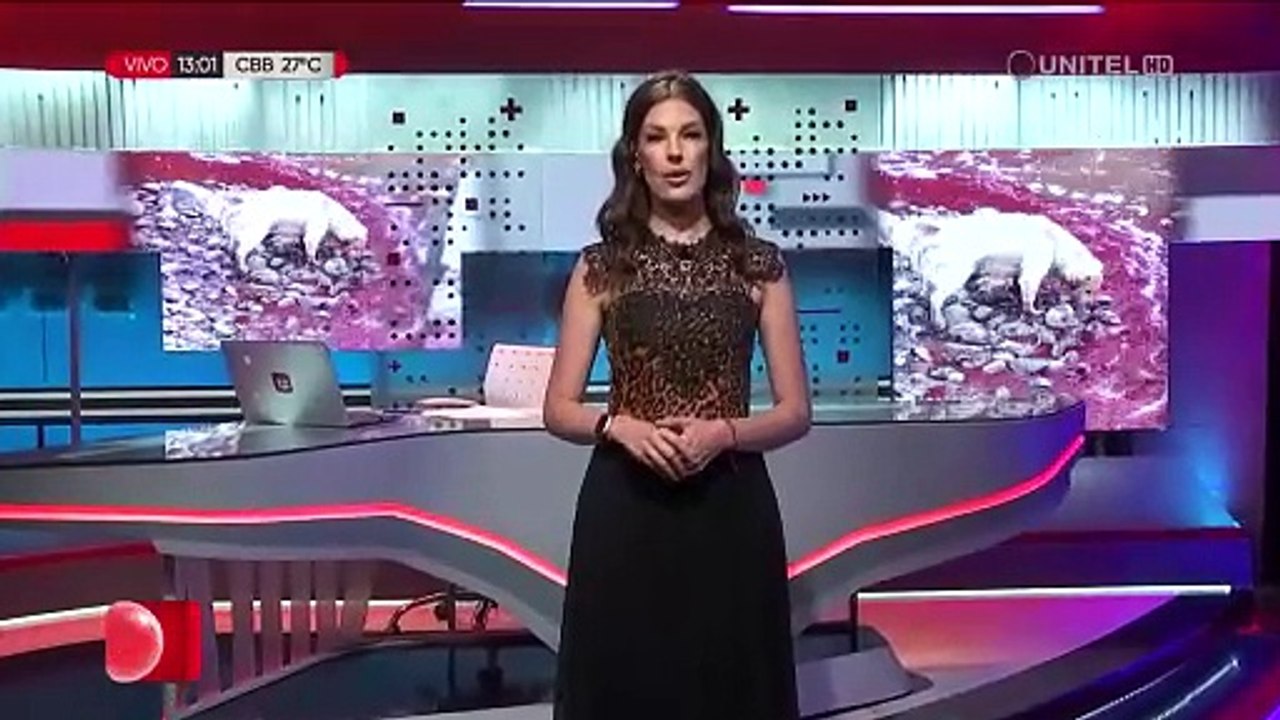 Mataderos clandestinos de cerdo llenan de sangre y vísceras un río en El Alto que desemboca en el Titicaca