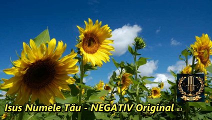 NEGATIV Original - Isus,Numele Tău
