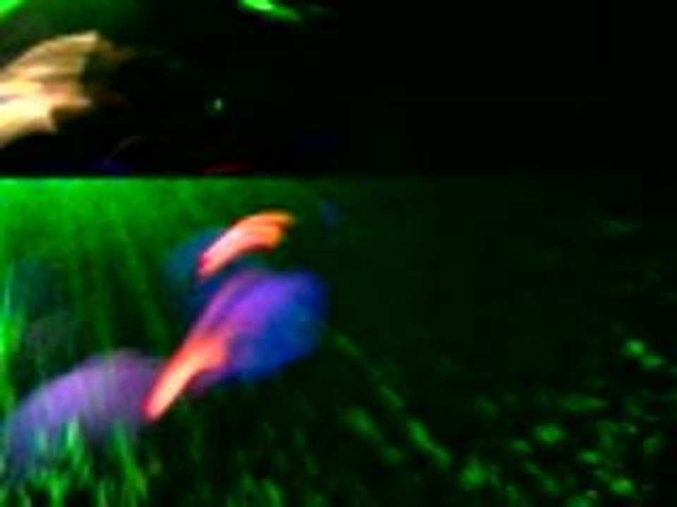 OnTheFloor-Chakra2