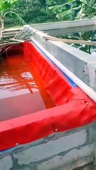 Jumlah kolam yang banyak itu pamor bisnis bagi pembudidaya ikan lele