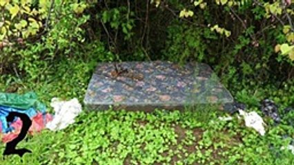 yt5s.com-3 Scary TRUE Halloween Horror Stories VOLUME 4-(144p)