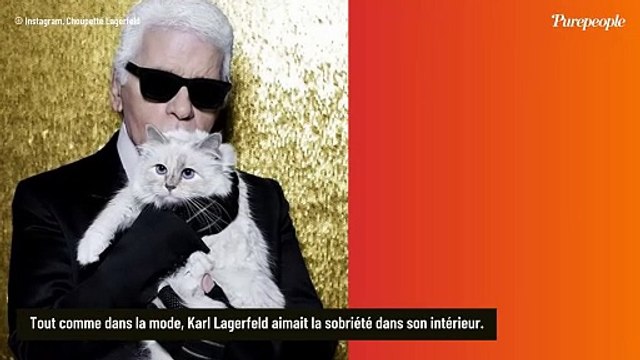 Karl Lagerfeld obligé de changer toute sa déco pour éviter un accident terrible... à cause de sa chatte Choupette !