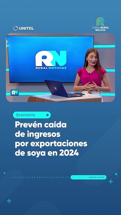 Prevén caída de ingresos por exportaciones de soya en 2024