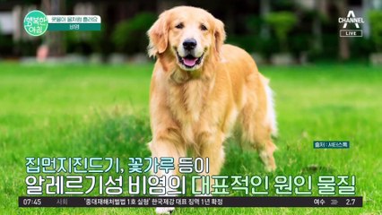 콧물이 물처럼 흘러요ㅠㅠ 감기와 다른 비염의 증상과 치료방법은?