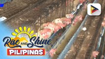 Task Force Alectryon para suriin ang mga potensyal na bakuna vs. bird flu, inilunsad ng FDA