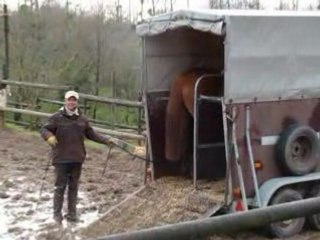 monter dans un van méthode éthologique
