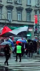 Free Palestine #gaza #ceasefirenow #stopwar #explore#chicago #usa #keepsupporting #watermelon