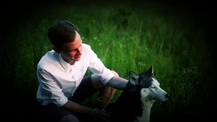 2 Casos para No Olvidar donde los Animales Estremecieron a la Humanidad │La Habitación Oscura