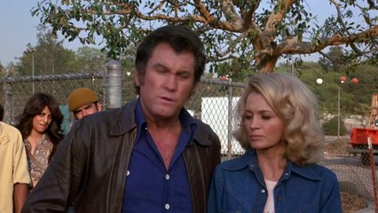 POLICE WOMAN - Series 2 - Episode 15 - "Incident Near a Black and White" V2