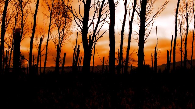 2 HISTORIAS REALES PARA ESCUCHAR EN LA OSCURIDAD