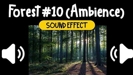Forest #10 (Ambience) Sound Effect