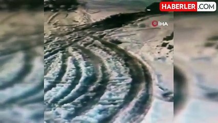 Aç kalan kurtlar köpeğe böyle saldırdı