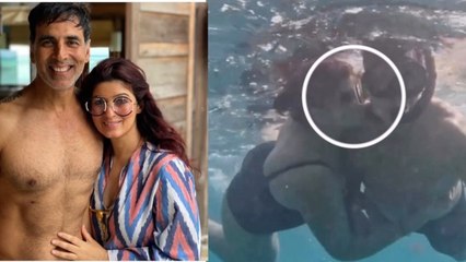 Twinkle Khanna 50th Birthday पर Husband Akshay Kumar को Underwater Kiss Video, Actor Wish Post.