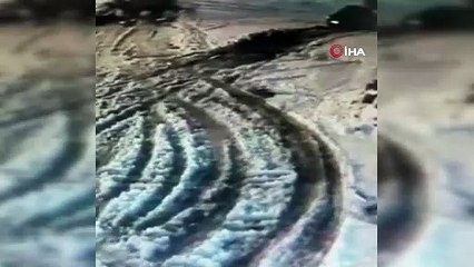 Aç kalan kurtlar köpeğe saldırdı