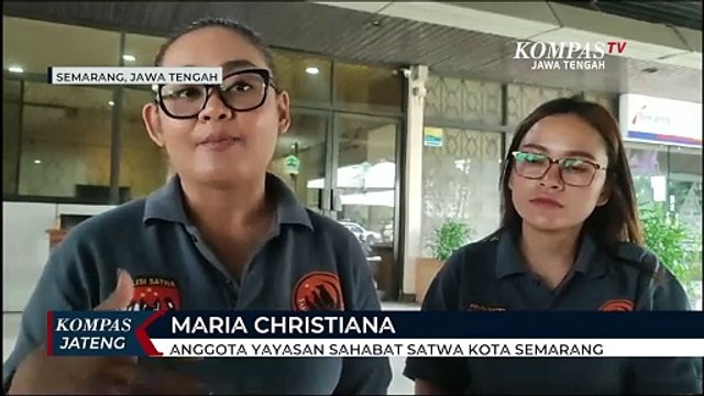 Heboh, Ratusan Anjing Diangkut Truk Dibawa ke Rumah Jagal