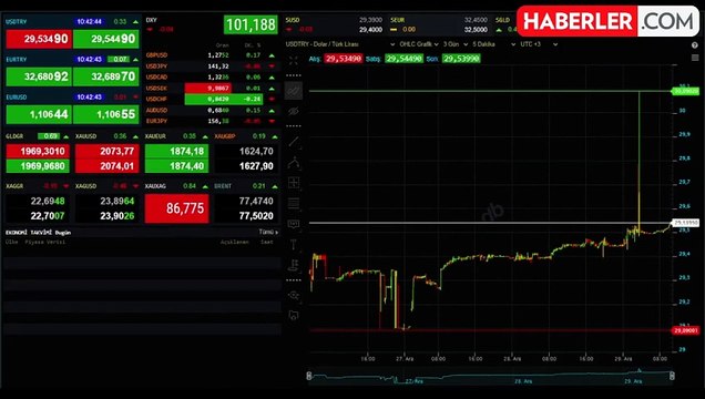 Rekor üstüne rekor kıran dolar 29,54'ten işlem görüyor
