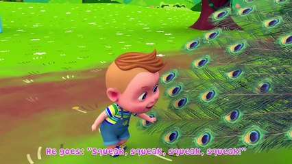 Animal Dance Song - Farm Animals Cartoon for Kids _ Super Sumo Nursery Rhymes & Kid Song