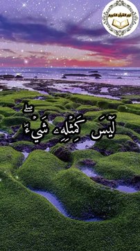 السيد متولى عبد العال