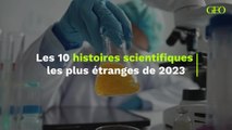 Les 10 histoires scientifiques les plus étranges de 2023